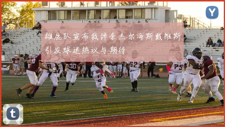 雄鹿队宣布裁掉奈杰尔海斯戴维斯引发球迷热议与期待